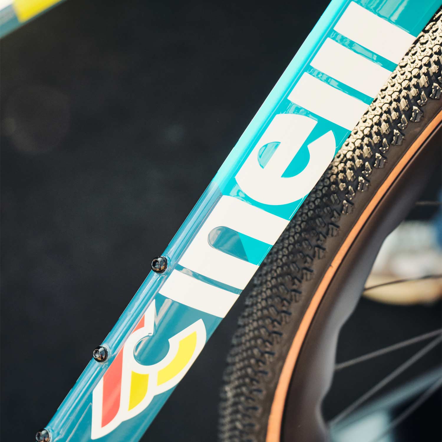 Cinelli King Zydeco II Bayou Apex